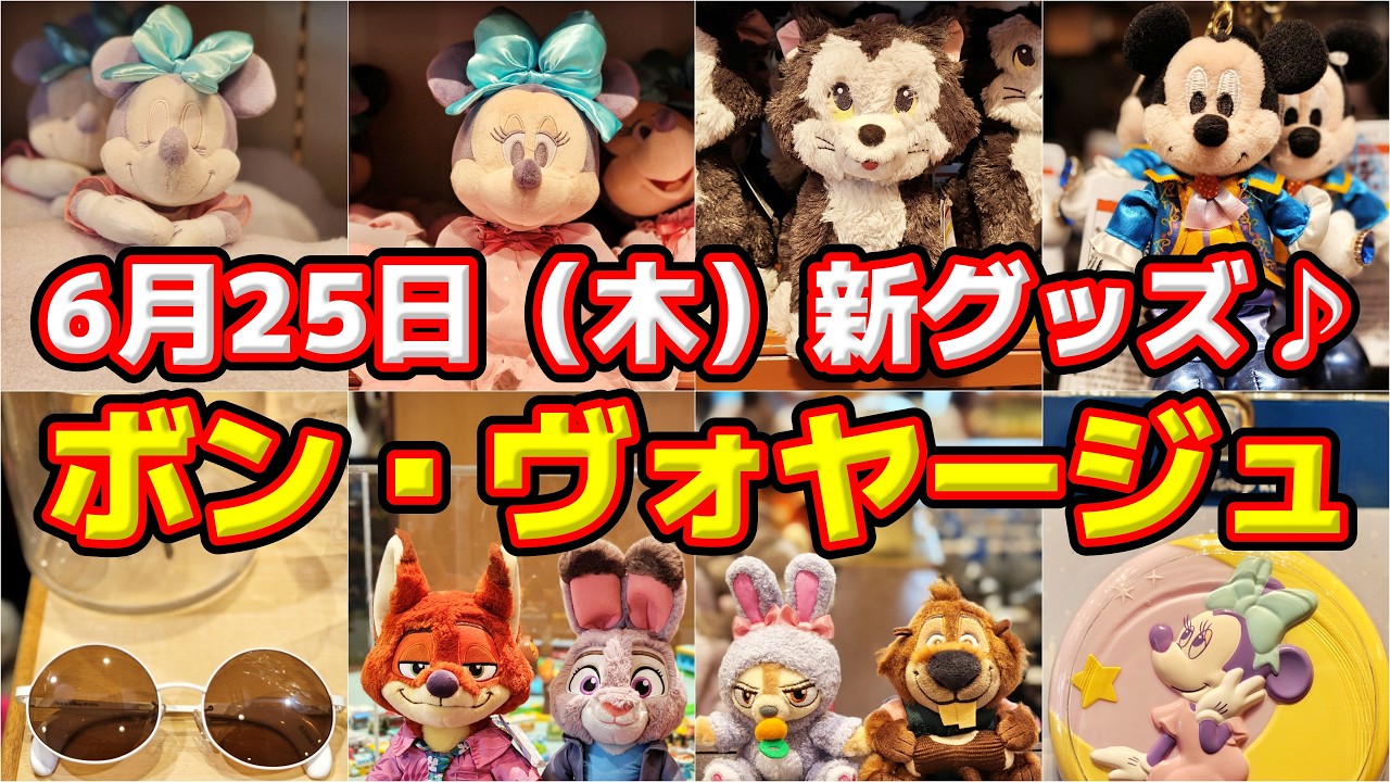 🎉【超癒やし系グッズ登場‼️】可愛すぎるミニー新グッズ‼️🎁6月25日