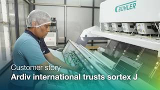 SORTEX J - Precision sorting with near-color defect removal and better yield performance
