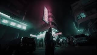 skaviński - in the dark