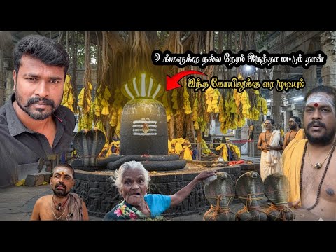 திருப்பாம்புறம்😳😱🐍 உங்களுக்கு நல்ல நேரம் இருந்தா மட்டும் இங்க வரமுடியும் வந்தாலே தோஷம் கழியும். .