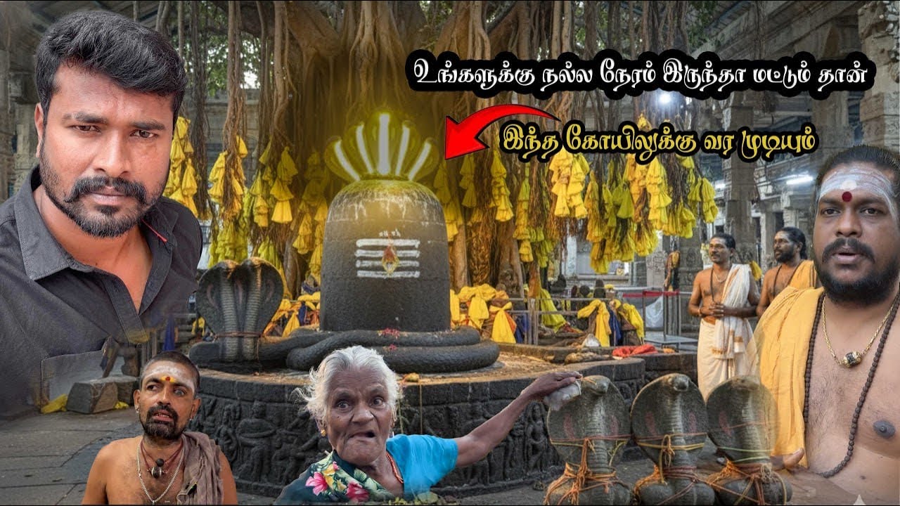 திருப்பாம்புறம்😳😱🐍 உங்களுக்கு நல்ல நேரம் இருந்தா மட்டும் இங்க வரமுடியும் வந்தாலே தோஷம் கழியும். .