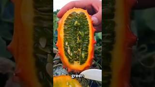 Kiwano Is An African Fruit With An Unusual Flavour