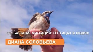 О птичьих (и не только) миграциях (Диана  Соловьева)