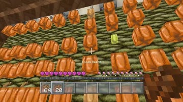 Minecraft Tutorial : Automatic Cocoa Bean Farm Any Size Plus MORE