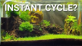 Can You Instantly Cycle An Aquarium? Fast Aquarium Cycling Explained!
