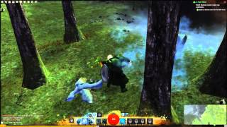 Surviving Tyria: Beginner's Guide to Mobility - Enigmius Talks Guild Wars 2 screenshot 2