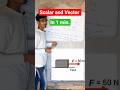 Scalar vs Vector in 60 seconds