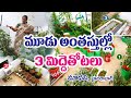 మాధవిగారి సేంద్రియ టెర్రస్ గార్డెన్ | Organic terrace garden | Bachupally - Hyderabad | Rytunestham