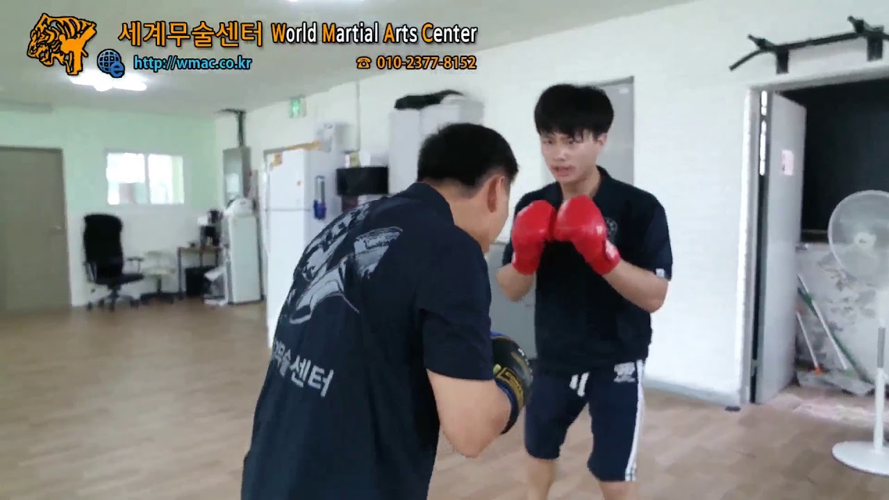 Block Punch Parry Slip/Parry/Block Punch - 세계무술센터 - YouTube