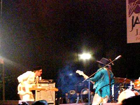 gugun blues shelter white dog