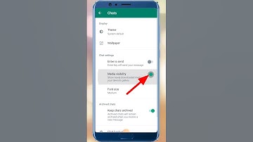 How to fix WhatsApp images not showing in gallery 2023