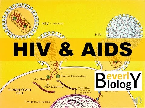 HIV And AIDS