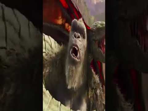 Viralvideo Film Movie Trending Reels 