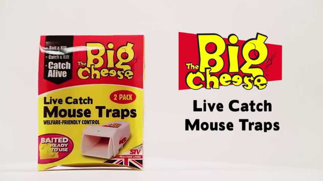 The Big Cheese Ultra Power Mouse Trap - 2 Pack - Bunnings Australia