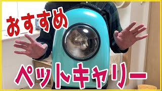 【猫】リュック型のペットキャリーが便利でおすすめ「はなちゃん病院へ」