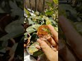 #resinalphabet #resinart #resinkeychain #resinvideo