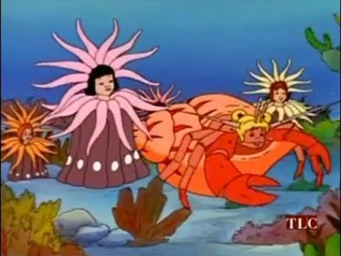 The Magic School Bus Takes A Dive Youtube