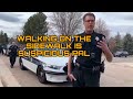 Cops Detain And Arrest Citizen Because It Was Suspicious Walking A Dog On A Sidewalk.