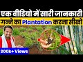 गन्ने की बुवाई 🌾A to Z Sugarcane Plantation-Cultivation | देसी जुगाड़ प्लांटेशन