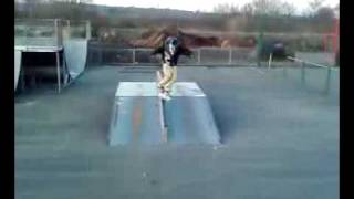270 bk unity to fakie