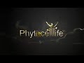 Glimpse of phytocelllife event on completion of 5 year