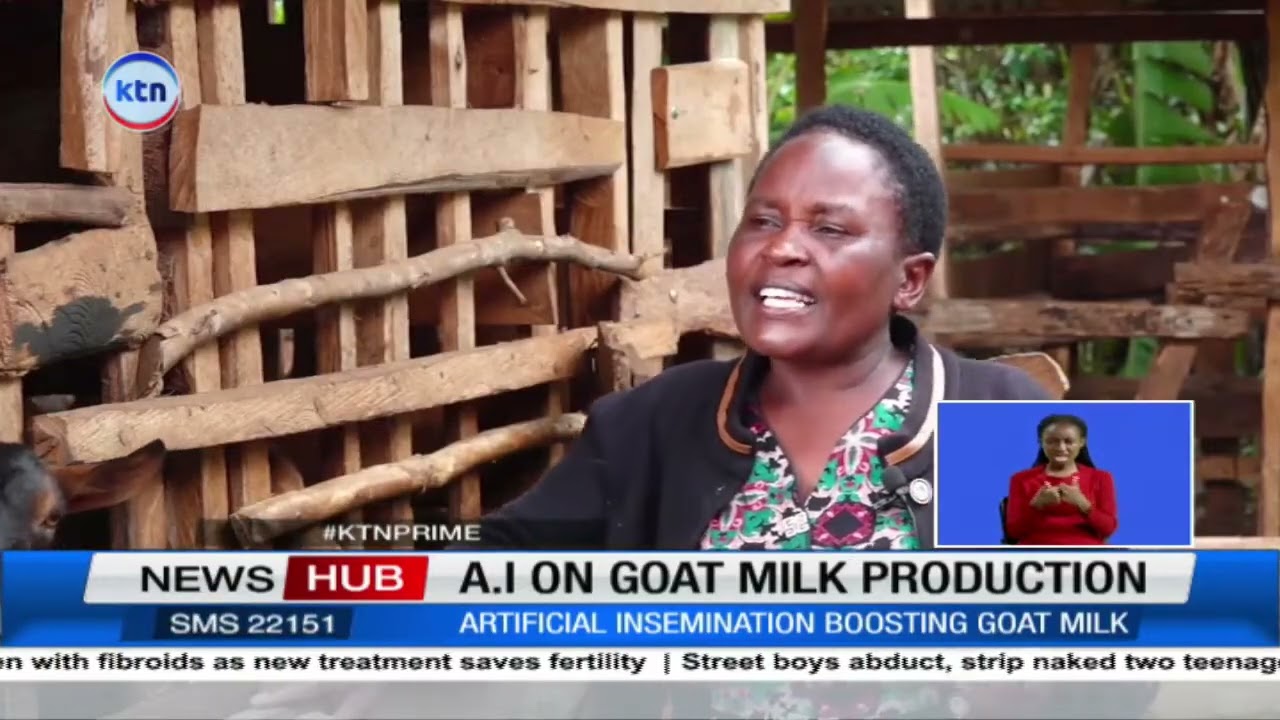 AI boosts production of milk for small scale farmers