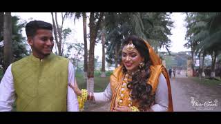 Dolon Roy Yellow Touch