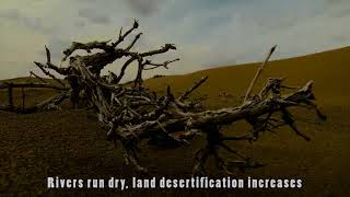 Environmental Problem |Pressing Environmental Issues and Their Impacts