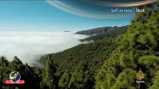 أشجار الصنوبر الكناري - الجزيرة الوثائقية/Canary Pine Trees - Al Jazeera Documentary