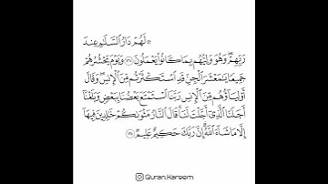القارئ سعد الغامدي - سورة الأنعام - من الآية 127 إلى الآية 128