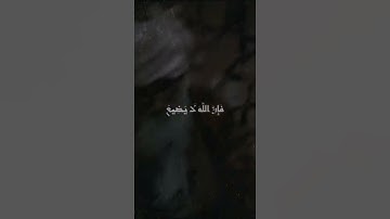 إنه من يتق ويصبر | الشيخ عبد الباسط عبد الصمد حالات واتس اب دينية قصيرة قران كريم تلاوة خاشعة