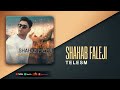 Shahab Faleji Telesm Official Audio Track 