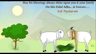 Happy Bakrid Greetings,Eid ul-Adha Images & Greetings,wishes,Ecards,Messages Video