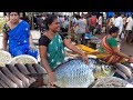 Amazing Bhimavaram Fish Market | भीमावरम फिश मार्किट | Spicy Seven