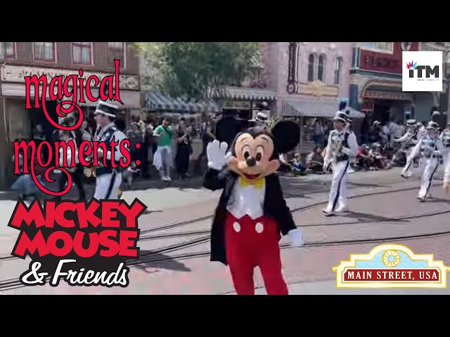 マーク・コート「SUNDAY IN THE PARK WITH MICKEY」 Disney Parks Mickey & Friends 1/4 Zip Jacket Pullover