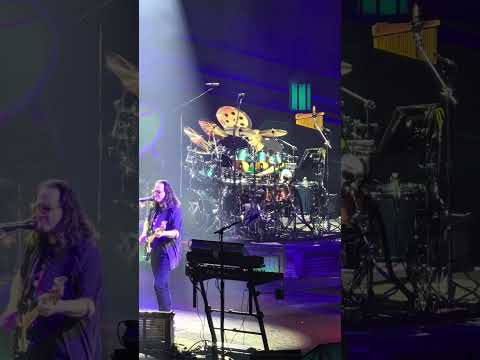 Anika Nilles (and Geddy) going nuts in Natural Science in Rush concert, dallas 6/26/26. 