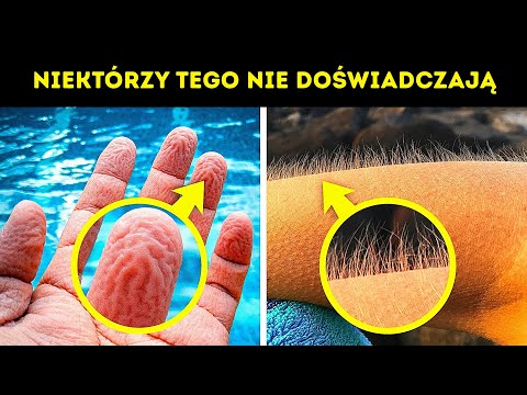 60+ faktów o ludzkim ciele, które przydadzą się na teście z biologii