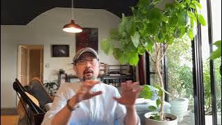 中国国旗在海外就是懦夫或者傻X的标志：闲聊两句在海外打这面旗的懦头们；密集反日电影上映与《南京照相馆》导演当年被开苞：八卦还是挺好玩的｜731｜木子美｜