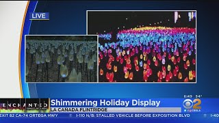 Enchanted Forest Lights Up Again At Descanso Gardens