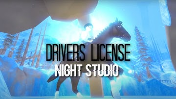 [NS MEP] - DRIVERS LICENSE