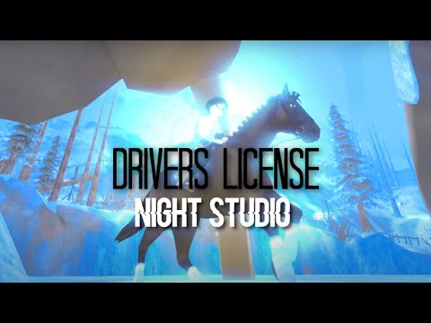 [NS MEP] - DRIVERS LICENSE
