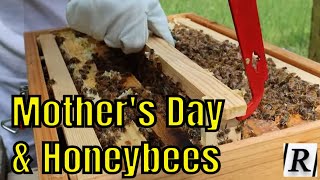 Mother's Day & Honeybees