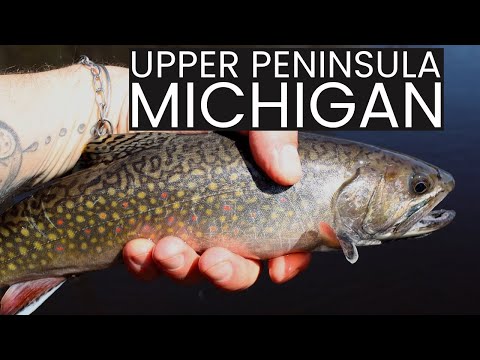 "The Opening Day of Trout Season" - An Upper Peninsula Michigan Fishing Journey