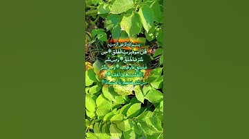 #سورة_الفلق #villagelife #اكسبلور #المصحف #حالات_واتس #الرحمن #دحمان #تيك_توك #القزابري #دويتو