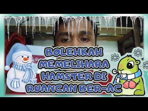 Video: Cara Mengobati Hamster Dingin