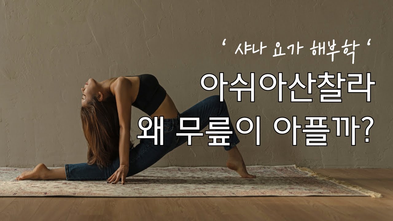 샤나의 요가해부학 | 아쉬아산찰라에서 무릎이 아파요. 왜 아픈지 쏙쏙 알기 쉽게 알려드려요!