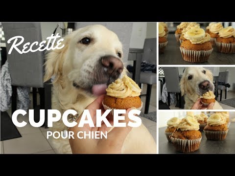 Vidéo: Ingrédients pour desserts pour chiens
