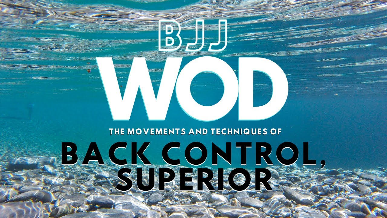 BJJ WOD (10min)  - Back Control, Superior - Side Control Entry When Opponent Turns In