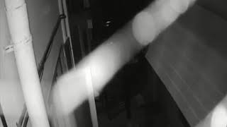 Goraknath, Machindranath, Jalandharnath