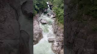 IMG 4770
